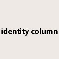 identity column是什么意思