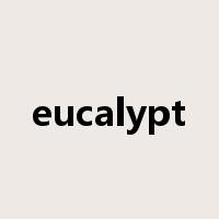 eucalypt是什么意思