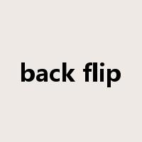 back flip是什么意思