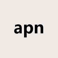apn是什么意思
