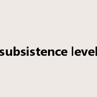 subsistence level是什么意思