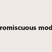 promiscuous mode是什么意思