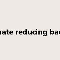 sulphate reducing bacteria是什么意思
