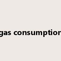 gas consumption是什么意思