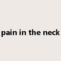 pain in the neck是什么意思