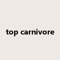 top carnivore是什么意思