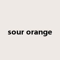 sour orange是什么意思