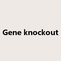 Gene knockout是什么意思