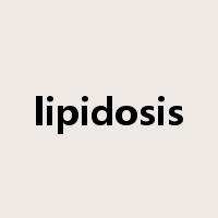 lipidosis是什么意思