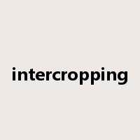 intercropping是什么意思