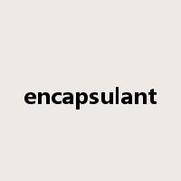 encapsulant是什么意思