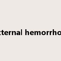 external hemorrhoid是什么意思