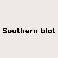Southern blot是什么意思