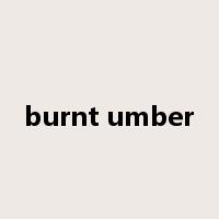 burnt umber是什么意思