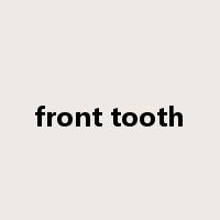 front tooth是什么意思