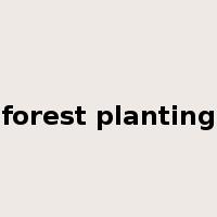 forest planting是什么意思