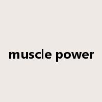 muscle power是什么意思