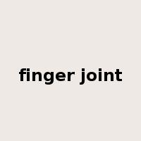 finger joint是什么意思