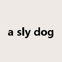 a sly dog是什么意思