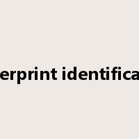 fingerprint identification是什么意思