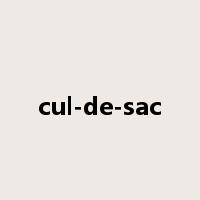 cul-de-sac是什么意思