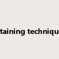 staining technique是什么意思