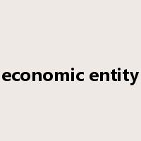 economic entity是什么意思
