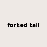 forked tail是什么意思