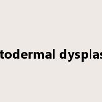 ectodermal dysplasia是什么意思