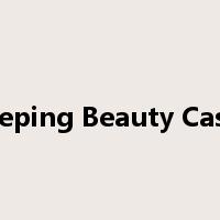 Sleeping Beauty Castle是什么意思
