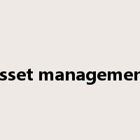 asset management是什么意思