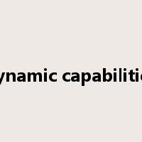 dynamic capabilities是什么意思