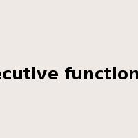 executive functioning是什么意思
