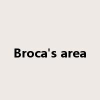 Broca's area是什么意思