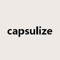 capsulize是什么意思