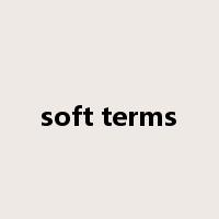 soft terms是什么意思