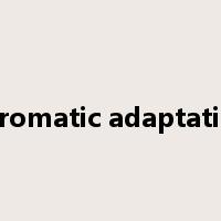 chromatic adaptation是什么意思