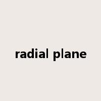 radial plane是什么意思