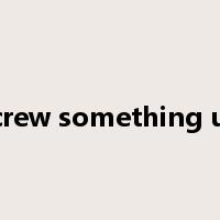 screw something up是什么意思
