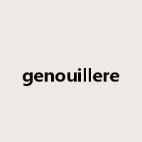genouillere是什么意思
