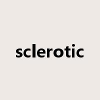 sclerotic是什么意思