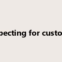 prospecting for customers是什么意思