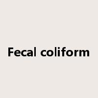 Fecal coliform是什么意思