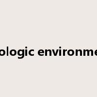 geologic environment是什么意思