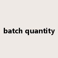 batch quantity是什么意思