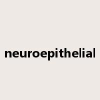 neuroepithelial是什么意思