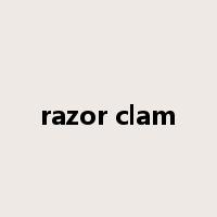 razor clam是什么意思