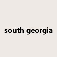 south georgia是什么意思