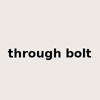 through bolt是什么意思