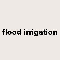flood irrigation是什么意思
